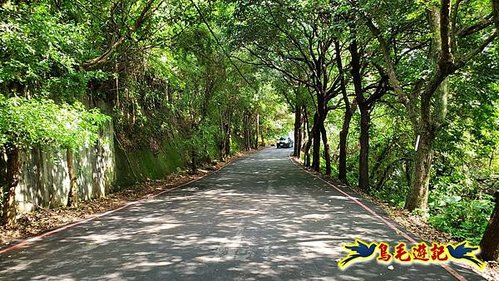 大棟山縱走(樹林青龍嶺-大棟山-龜山新嶺山步道) (4).jpg