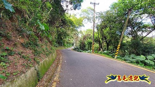 鳶山縱走(鳶山岩-長春嶺-鳶山(福德坑山)-鳶山彩壁-五十分山) (4).jpg