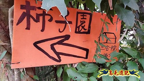 2024新埔柿子節-味衛佳柿餅觀光農場 (22).jpg