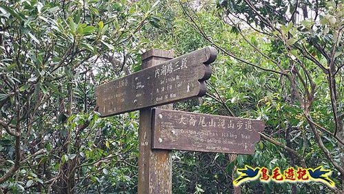 金面山步道採石場支線-大岩壁-剪刀石山-金面山-環山路O形 (21).jpg