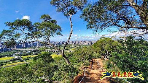 新埔犁頭山吧哩國山文山步道2期O形 (39).jpg