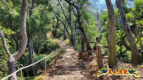 新埔犁頭山吧哩國山文山步道2期O形 (43).jpg