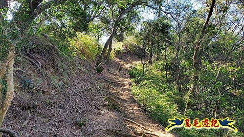 新埔犁頭山吧哩國山文山步道2期O形 (56).jpg