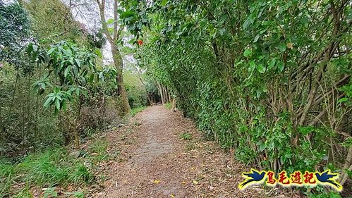 芎林文林生態古道-糖塔山-高梘頭山-文林閣O形 (6).jpg