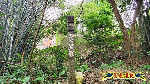 芎林文林生態古道-糖塔山-高梘頭山-文林閣O形 (4).jpg