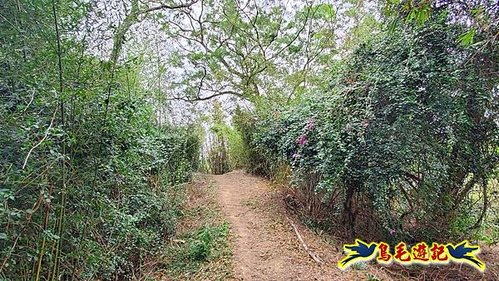 芎林文林生態古道-糖塔山-高梘頭山-文林閣O形 (11).jpg