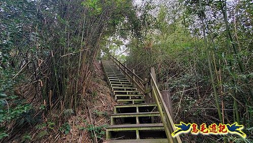 芎林文林生態古道-糖塔山-高梘頭山-文林閣O形 (12).jpg