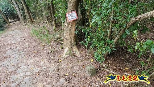 芎林文林生態古道-糖塔山-高梘頭山-文林閣O形 (7).jpg