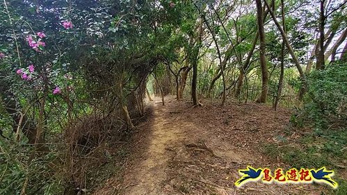 芎林文林生態古道-糖塔山-高梘頭山-文林閣O形 (10).jpg