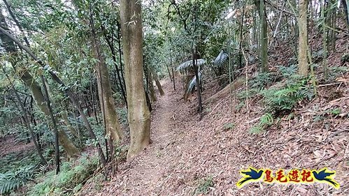 芎林文林生態古道-糖塔山-高梘頭山-文林閣O形 (16).jpg