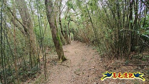 芎林文林生態古道-糖塔山-高梘頭山-文林閣O形 (14).jpg