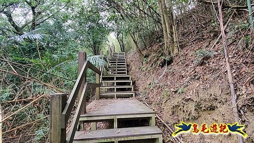 芎林文林生態古道-糖塔山-高梘頭山-文林閣O形 (21).jpg