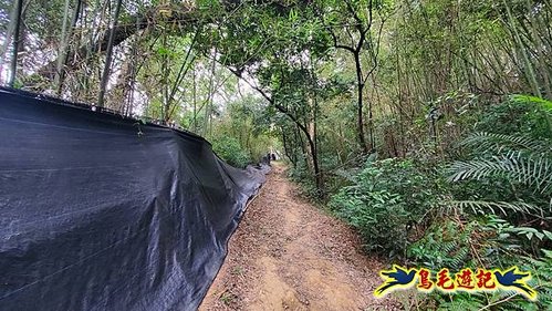 芎林文林生態古道-糖塔山-高梘頭山-文林閣O形 (19).jpg