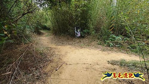 芎林文林生態古道-糖塔山-高梘頭山-文林閣O形 (25).jpg