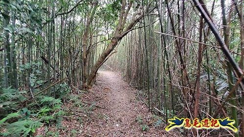 芎林文林生態古道-糖塔山-高梘頭山-文林閣O形 (29).jpg