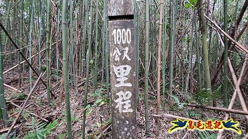 芎林文林生態古道-糖塔山-高梘頭山-文林閣O形 (30).jpg