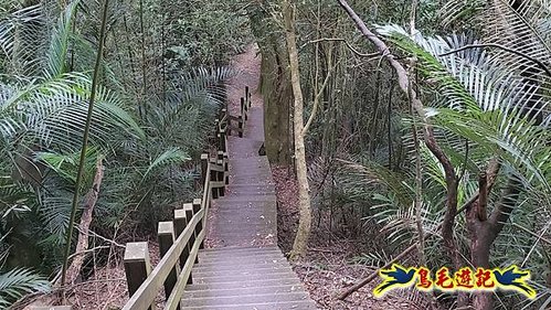芎林文林生態古道-糖塔山-高梘頭山-文林閣O形 (33).jpg