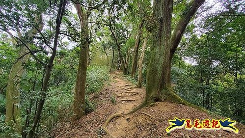 芎林文林生態古道-糖塔山-高梘頭山-文林閣O形 (32).jpg