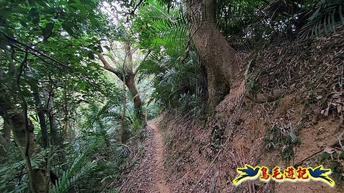 芎林文林生態古道-糖塔山-高梘頭山-文林閣O形 (36).jpg