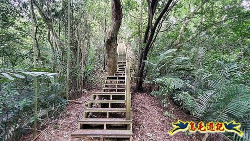 芎林文林生態古道-糖塔山-高梘頭山-文林閣O形 (34).jpg