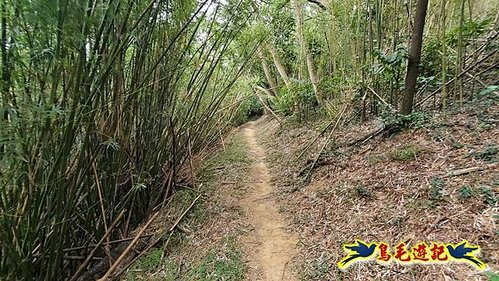 芎林文林生態古道-糖塔山-高梘頭山-文林閣O形 (35).jpg
