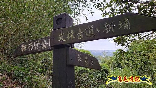 芎林文林生態古道-糖塔山-高梘頭山-文林閣O形 (38).jpg