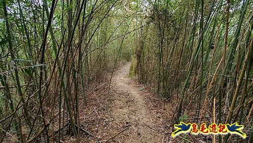 芎林文林生態古道-糖塔山-高梘頭山-文林閣O形 (43).jpg