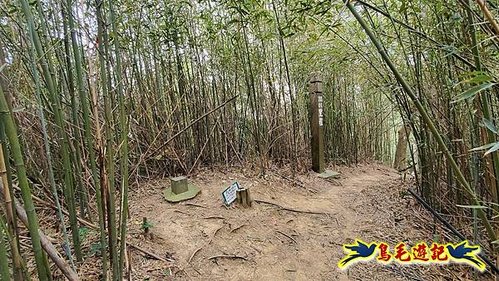 芎林文林生態古道-糖塔山-高梘頭山-文林閣O形 (42).jpg