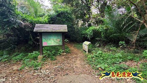 芎林文林生態古道-糖塔山-高梘頭山-文林閣O形 (45).jpg