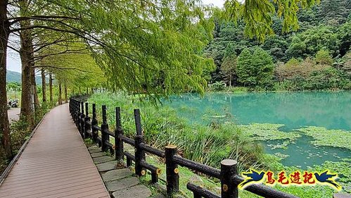 望龍埤環湖步道-飛龍步道-鎮頭山(枕頭山)-望龍埤鵝肉攤20元切仔麵米粉吃到飽 (2).jpg