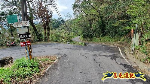 小格頭獅頭山黃花肖頭蕊蘭%26;鱷魚島觀景步道 (2).jpg