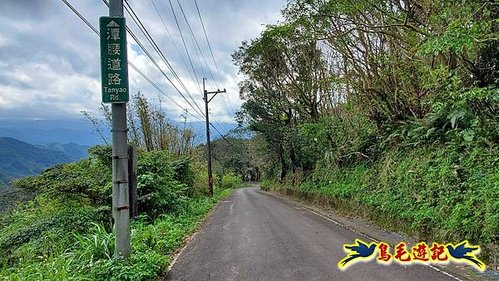 小格頭獅頭山黃花肖頭蕊蘭%26;鱷魚島觀景步道 (1).jpg