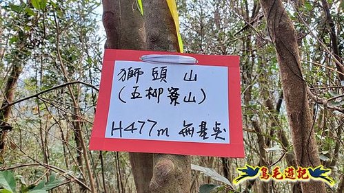 小格頭獅頭山黃花肖頭蕊蘭%26;鱷魚島觀景步道 (10).jpg