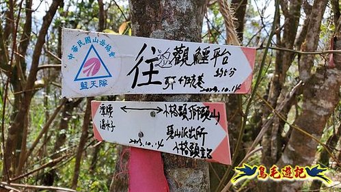 小格頭獅頭山黃花肖頭蕊蘭%26;鱷魚島觀景步道 (19).jpg