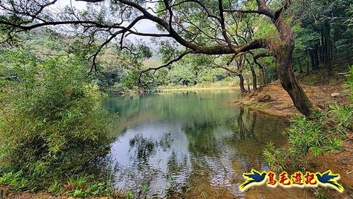 汐止新山夢湖步道雨後山嵐 (4).jpg