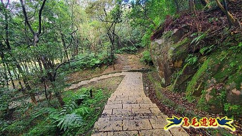 汐止新山夢湖步道雨後山嵐 (3).jpg