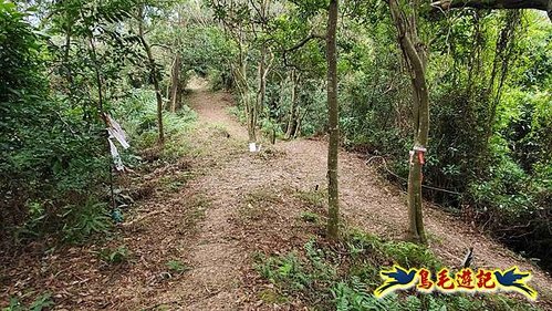 三峽永福宮-二鬮山-小石牛-大石牛-烏塗窟山-娘子坑山-妙法寺-大溪老街 (17).jpg