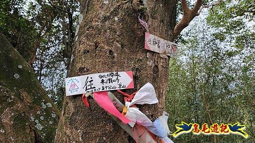 三峽永福宮-二鬮山-小石牛-大石牛-烏塗窟山-娘子坑山-妙法寺-大溪老街 (13).jpg