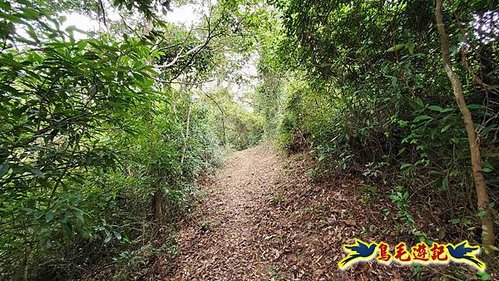 三峽永福宮-二鬮山-小石牛-大石牛-烏塗窟山-娘子坑山-妙法寺-大溪老街 (16).jpg