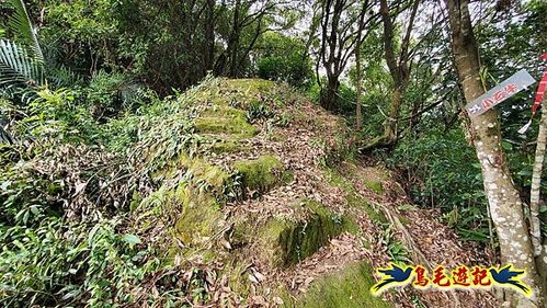 三峽永福宮-二鬮山-小石牛-大石牛-烏塗窟山-娘子坑山-妙法寺-大溪老街 (15).jpg