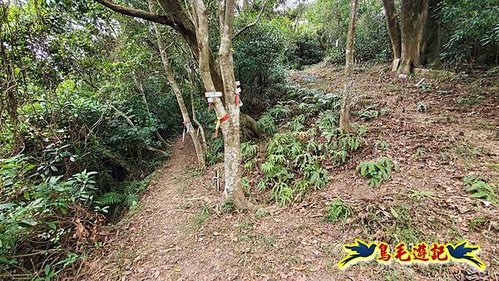 三峽永福宮-二鬮山-小石牛-大石牛-烏塗窟山-娘子坑山-妙法寺-大溪老街 (19).jpg