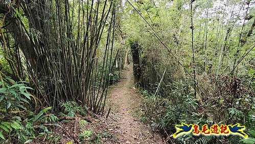 三峽永福宮-二鬮山-小石牛-大石牛-烏塗窟山-娘子坑山-妙法寺-大溪老街 (23).jpg