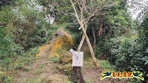 三峽永福宮-二鬮山-小石牛-大石牛-烏塗窟山-娘子坑山-妙法寺-大溪老街 (21).jpg