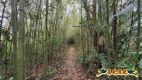 三峽永福宮-二鬮山-小石牛-大石牛-烏塗窟山-娘子坑山-妙法寺-大溪老街 (36).jpg