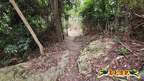 三峽永福宮-二鬮山-小石牛-大石牛-烏塗窟山-娘子坑山-妙法寺-大溪老街 (39).jpg