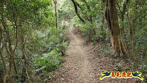 三峽永福宮-二鬮山-小石牛-大石牛-烏塗窟山-娘子坑山-妙法寺-大溪老街 (46).jpg