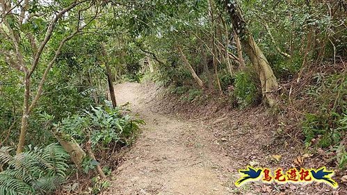 三峽永福宮-二鬮山-小石牛-大石牛-烏塗窟山-娘子坑山-妙法寺-大溪老街 (45).jpg