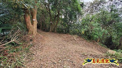 三峽永福宮-二鬮山-小石牛-大石牛-烏塗窟山-娘子坑山-妙法寺-大溪老街 (50).jpg