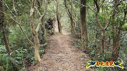 三峽永福宮-二鬮山-小石牛-大石牛-烏塗窟山-娘子坑山-妙法寺-大溪老街 (51).jpg