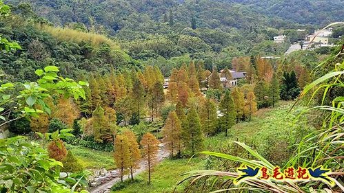 三峽永福宮-二鬮山-小石牛-大石牛-烏塗窟山-娘子坑山-妙法寺-大溪老街 (55).jpg